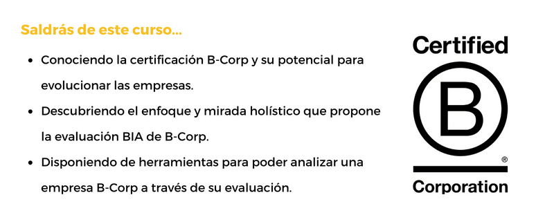 Curso Online De Introducción A Las Empresas Y Certificación B Corp - Xtudeo